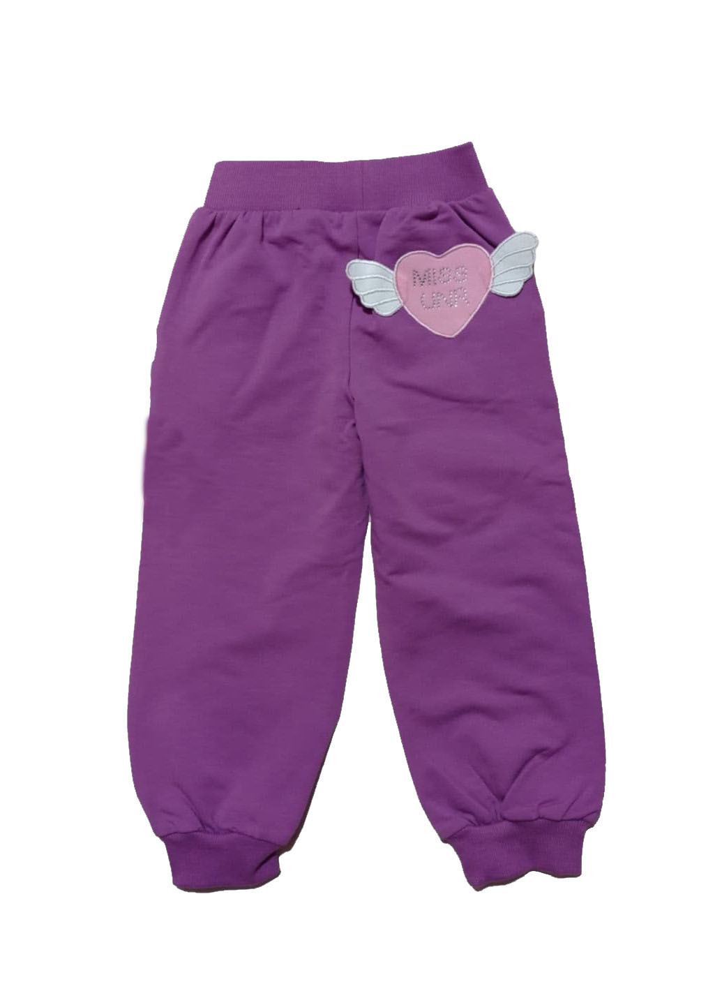 Фиолетовые спортивные зимние брюки Unruly