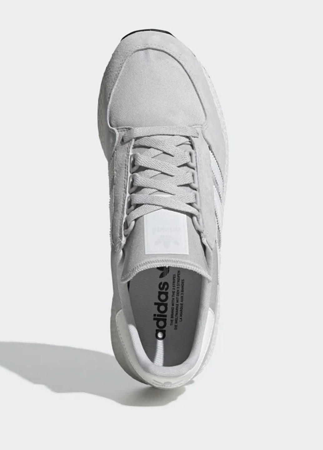 Світло-сірі всесезон кросівки adidas Forest Grove