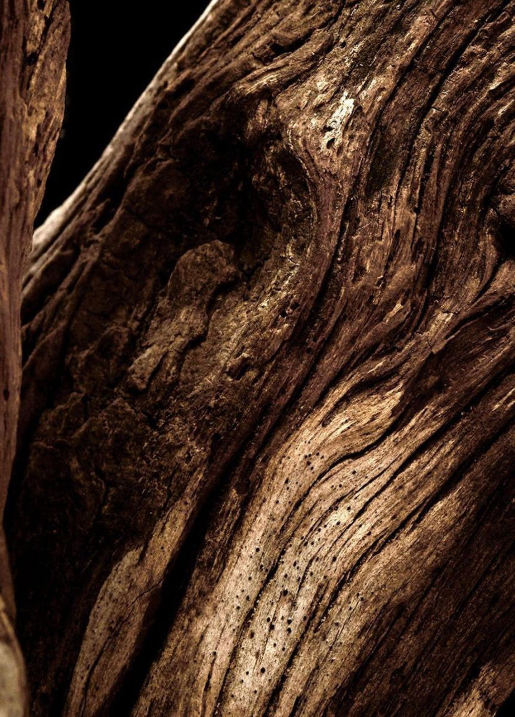 Парфумована вода Very Sexy Orchid, 100 мл Victoria's Secret (353745749)