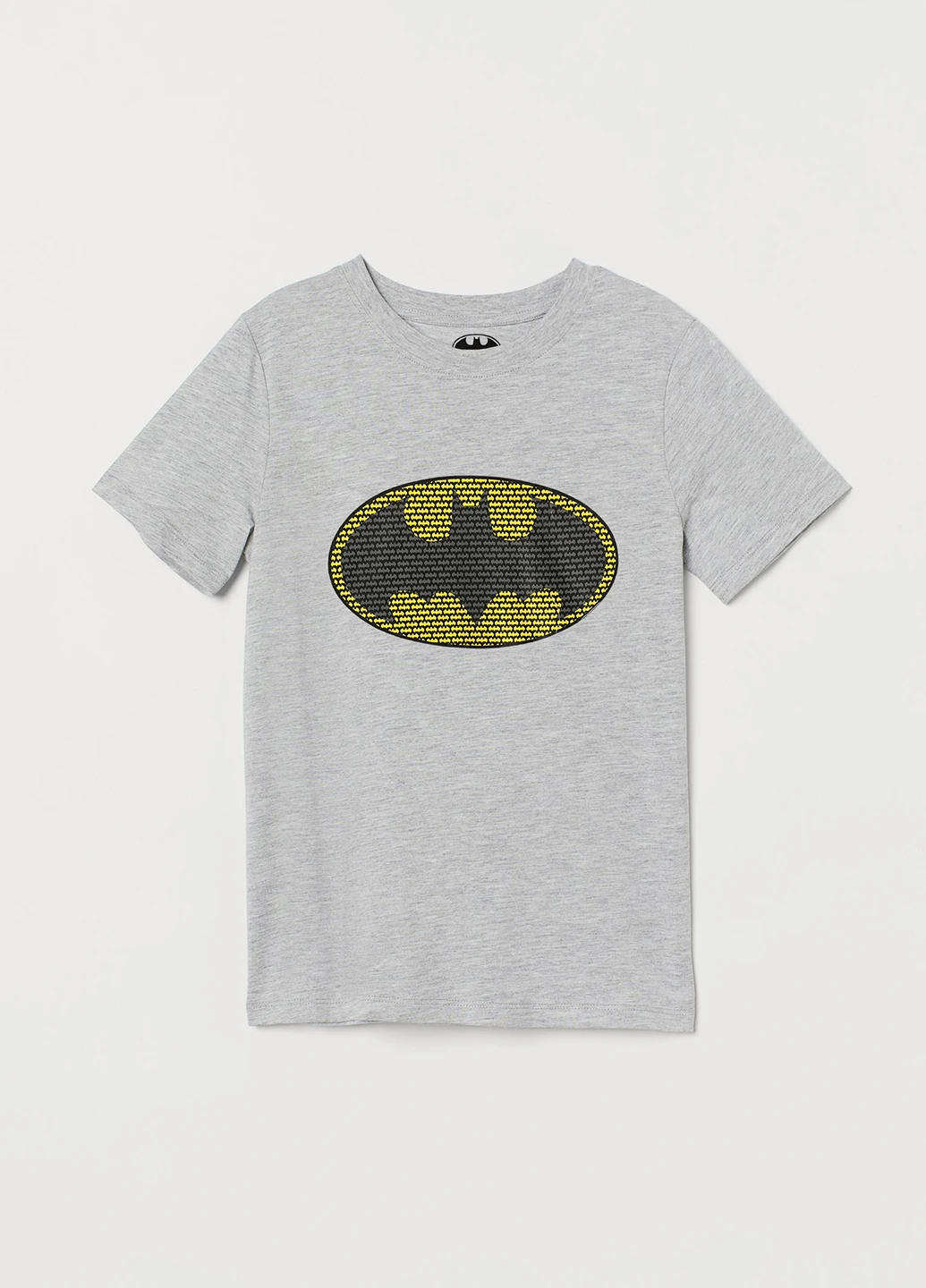 Сіра демісезонна футболка Batman