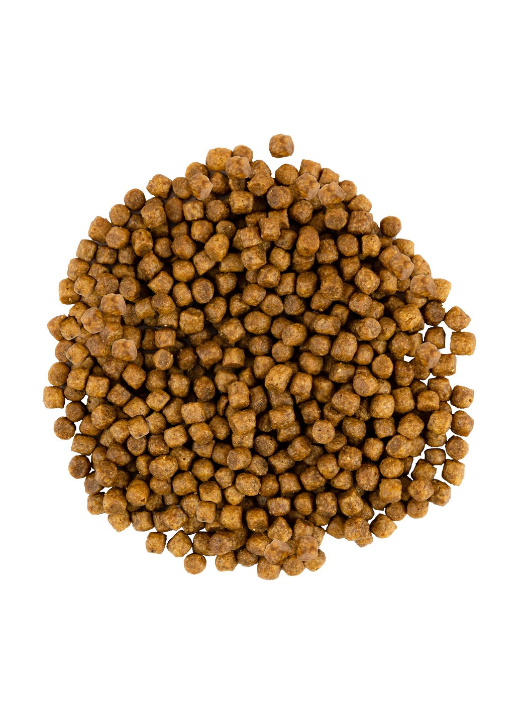 Сухий корм для кошенят зі свіжим м’ясом індички та курки, 8 кг Savory (231268529)