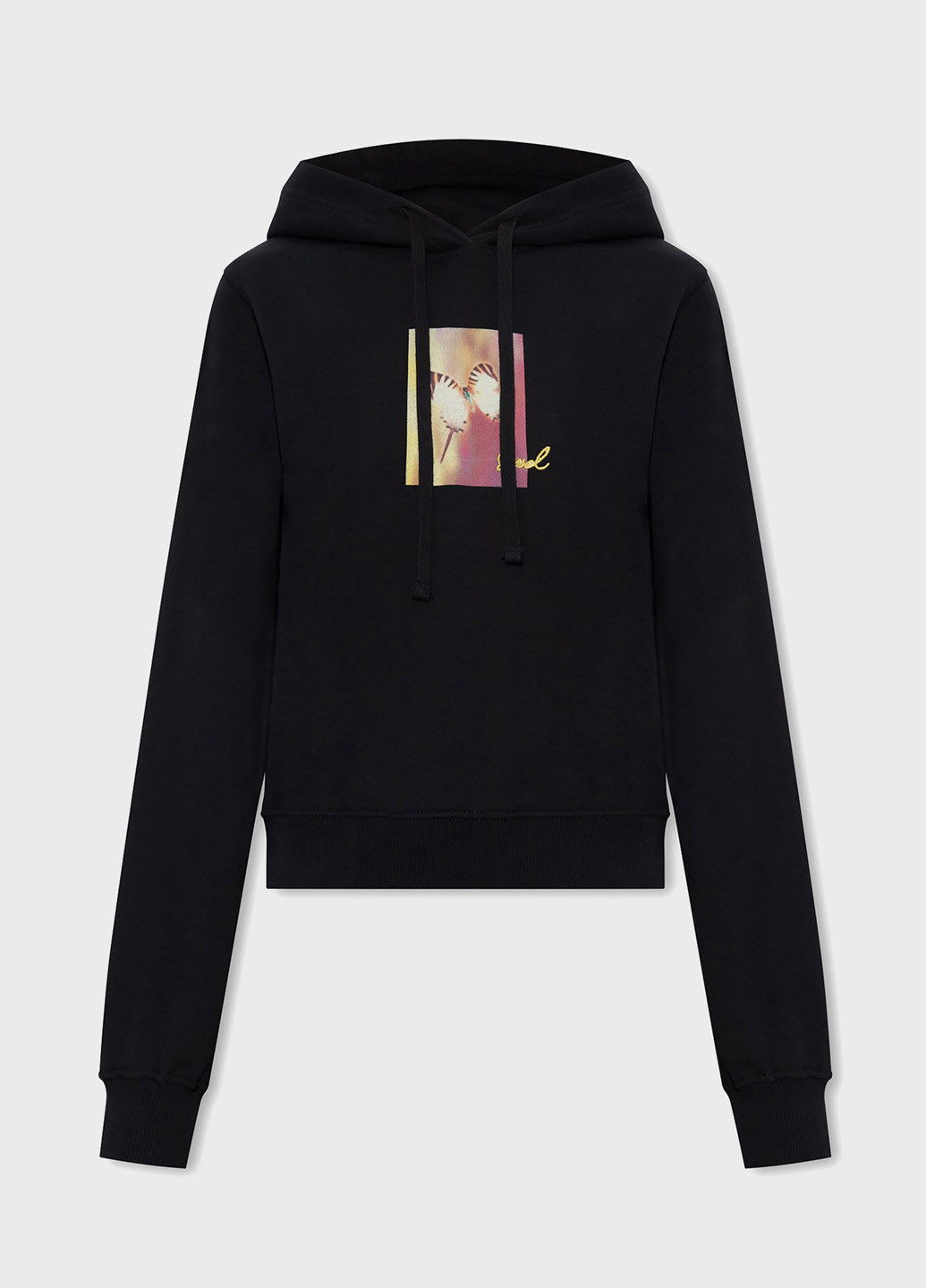 Худі Diesel (347731825)