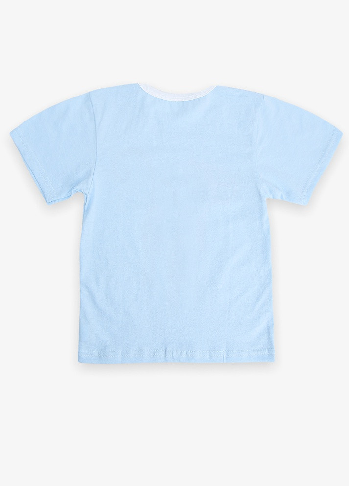 Голубая демисезонная футболка Ромашка