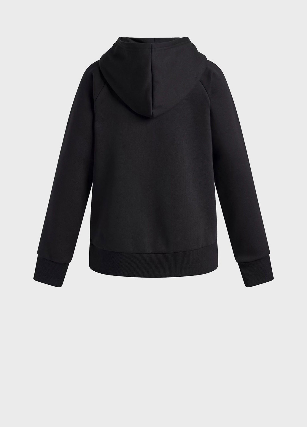 Худі Under Armour (347161397)