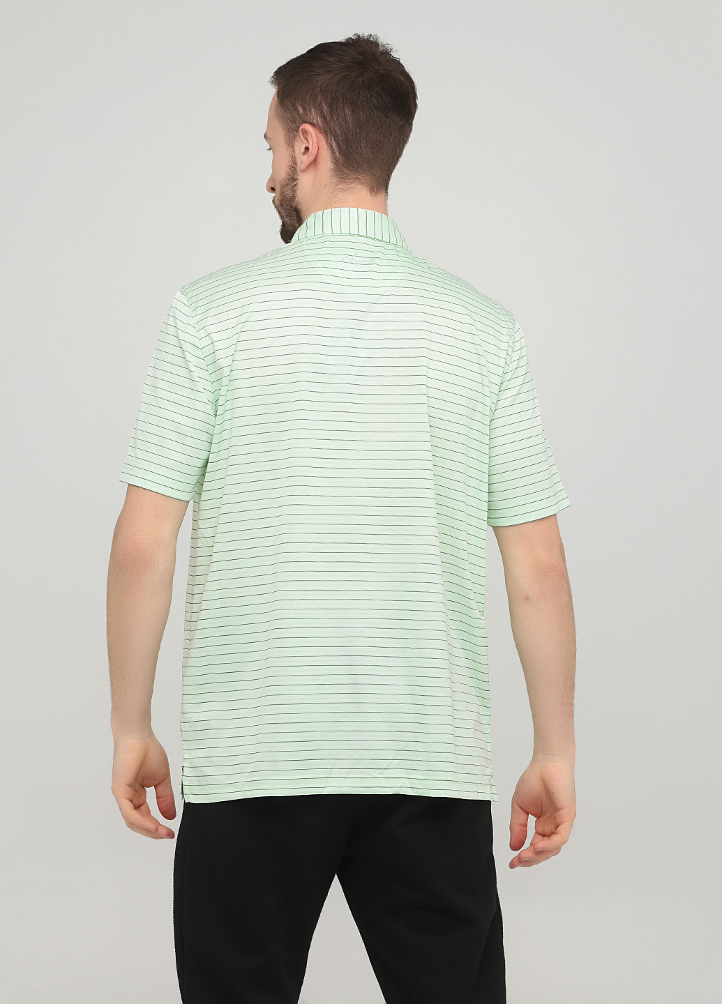 Светло-зеленая футболка-поло для мужчин Greg Norman в полоску