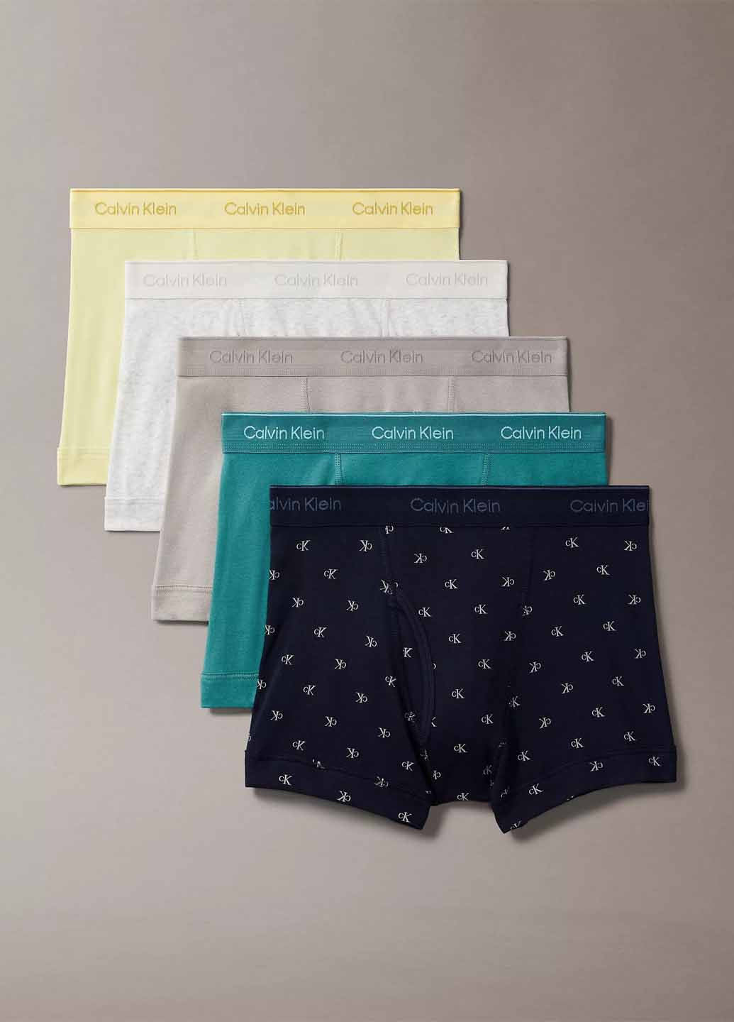 Труси (5 шт.) Calvin Klein (367175383)