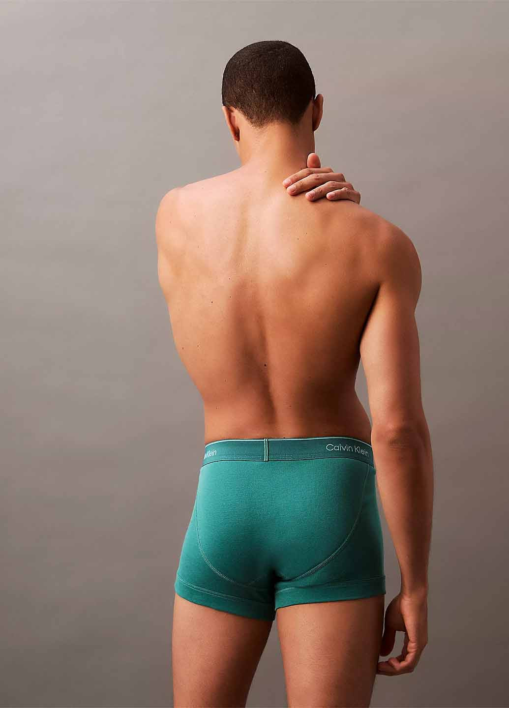 Труси (5 шт.) Calvin Klein (367175383)