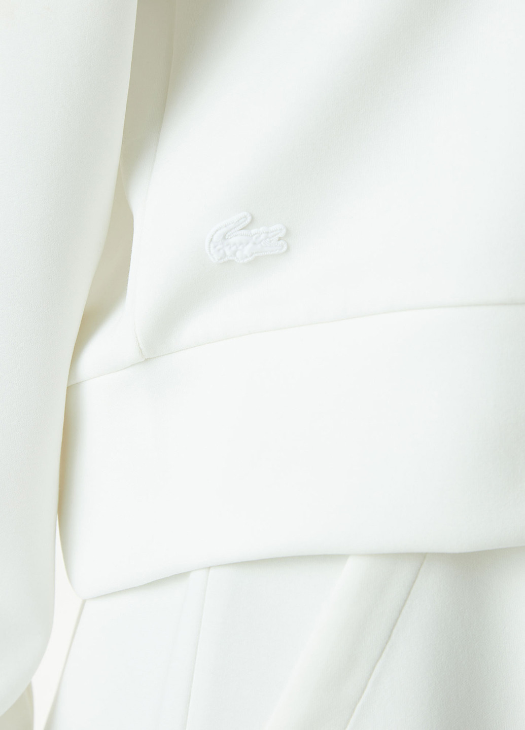 Толстовка Lacoste (298073504)