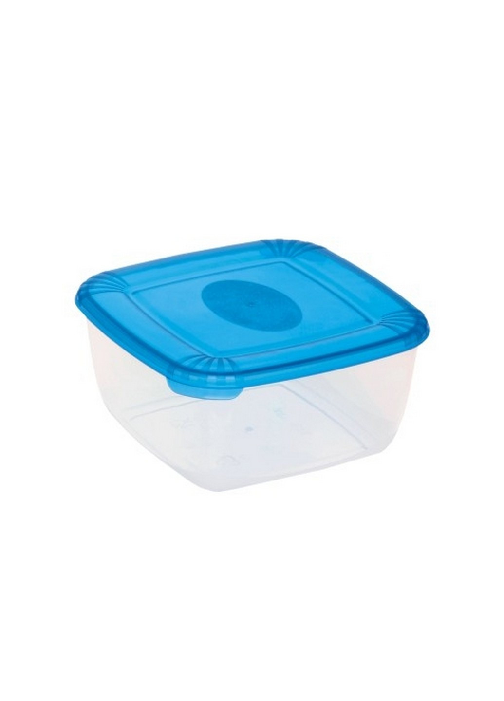 Емкость для морозилки POLAR 0.95л с синей крышкой (TEA-1675) Plast Team (217310179)