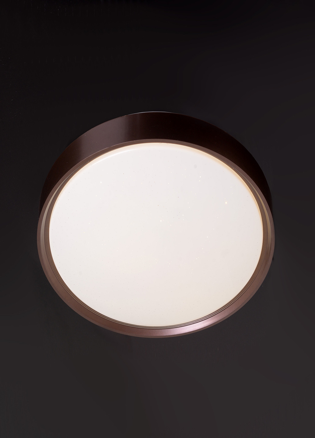 W-629/20W NW світильник настінно-стельовий Brille (251904458)