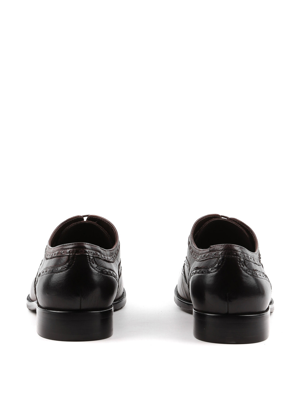 Коричневые классические туфли Arzoni Bazalini на шнурках