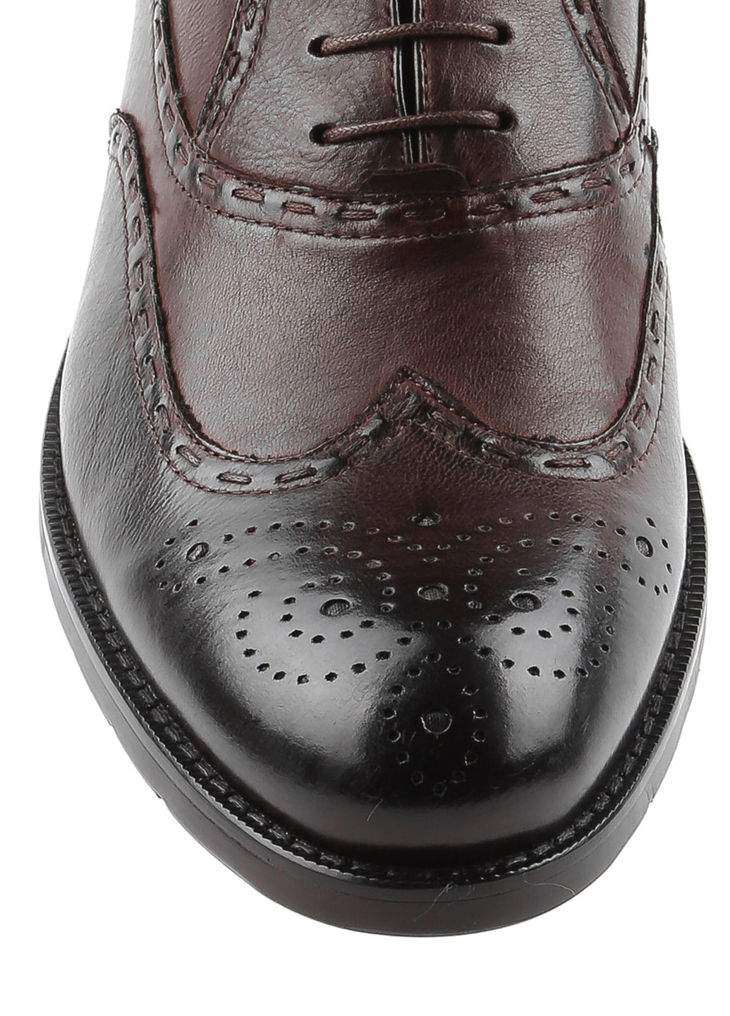 Коричневые классические туфли Arzoni Bazalini на шнурках