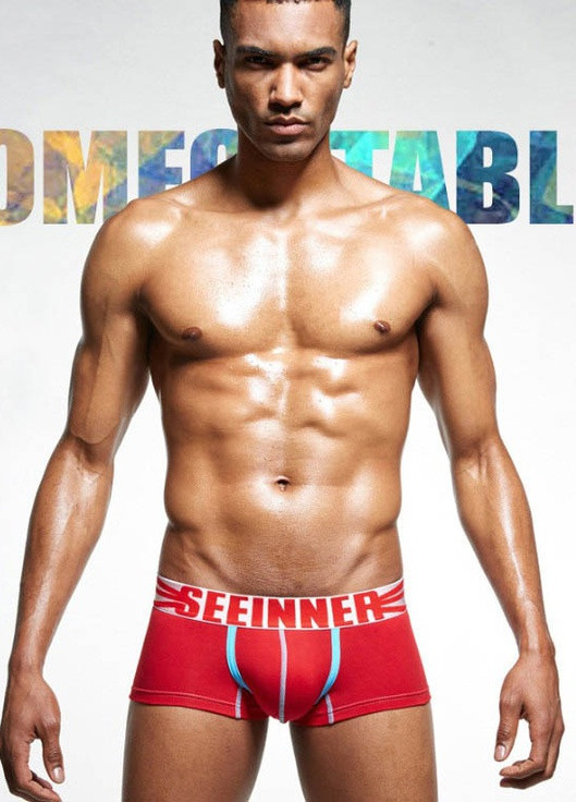 Мужское нижнее белье Seeinner (250539191)