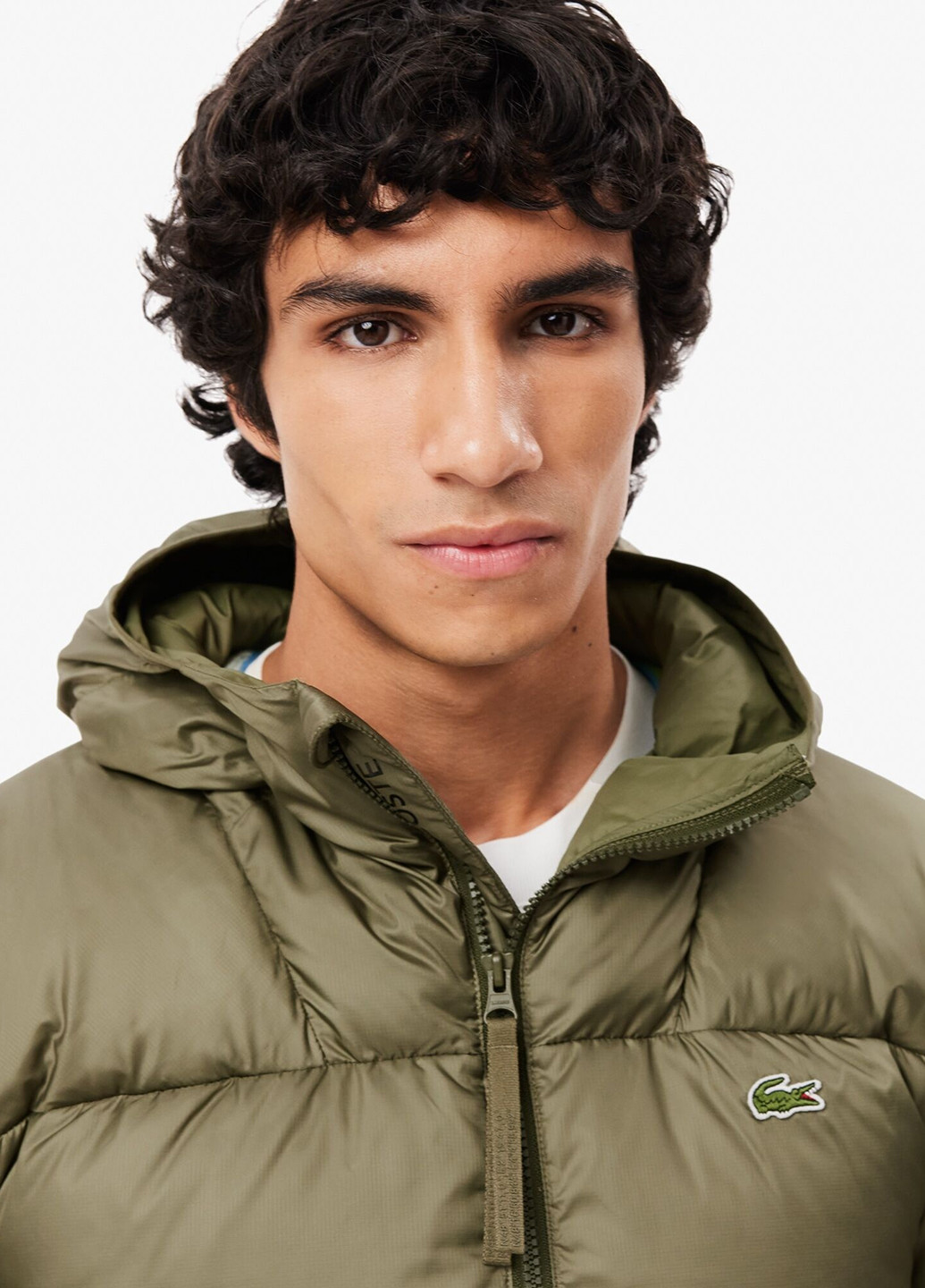 Оливковий (хакі) зимній Пуховик Lacoste