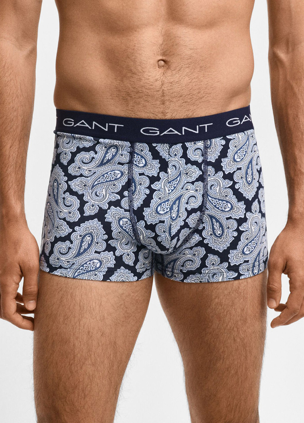 Труси (3 шт.) Gant (322523539)