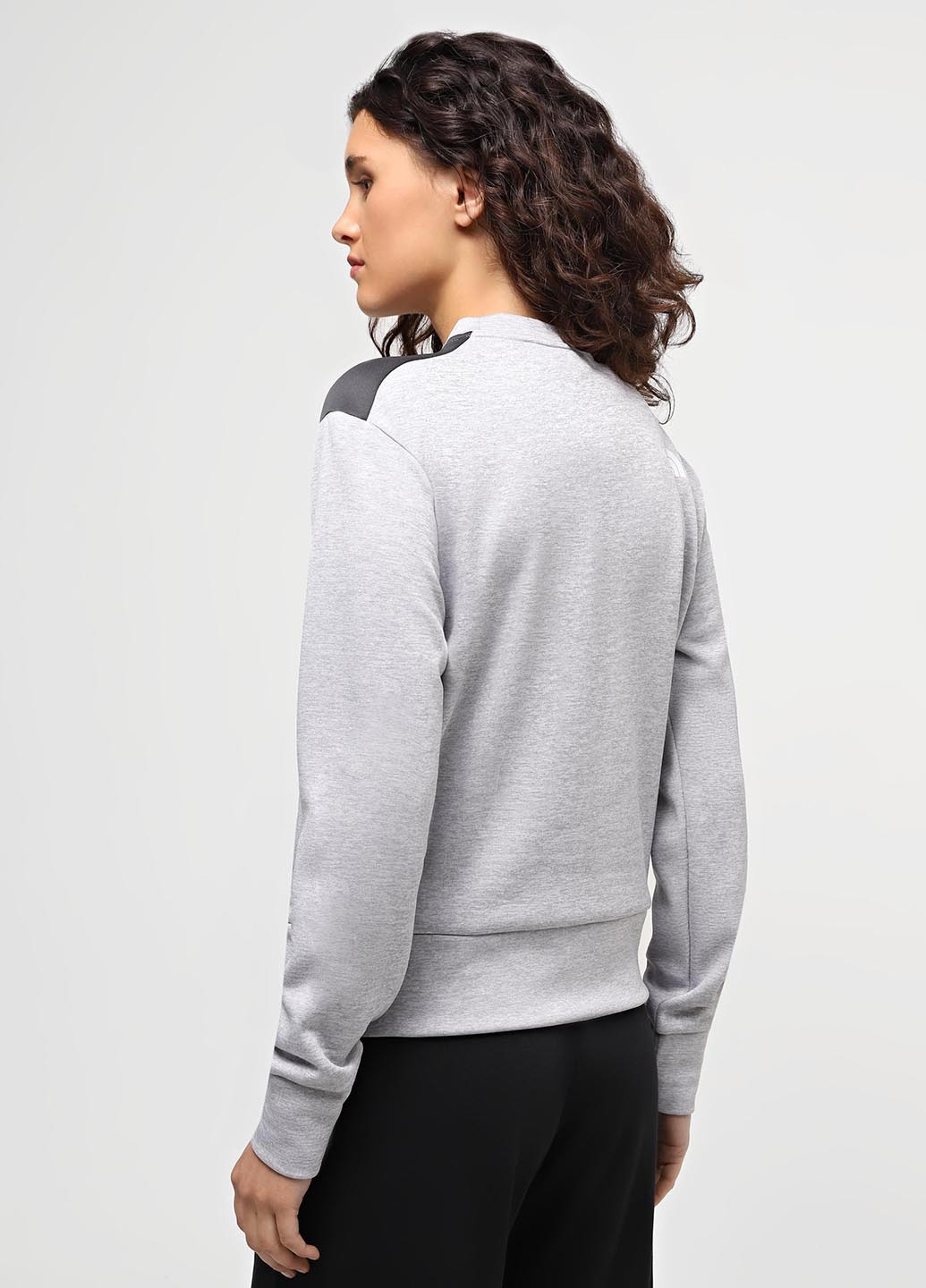 Світло-сірий світшот The North Face логотип без декору (330358905)