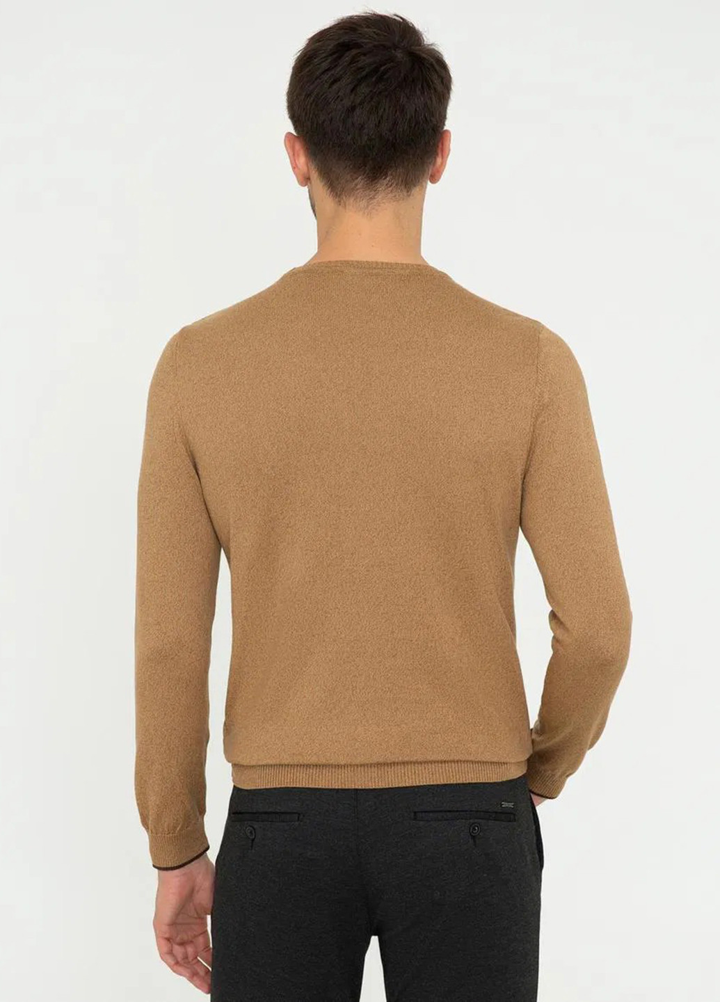 Світло-коричневий демісезонний джемпер джемпер Pierre Cardin