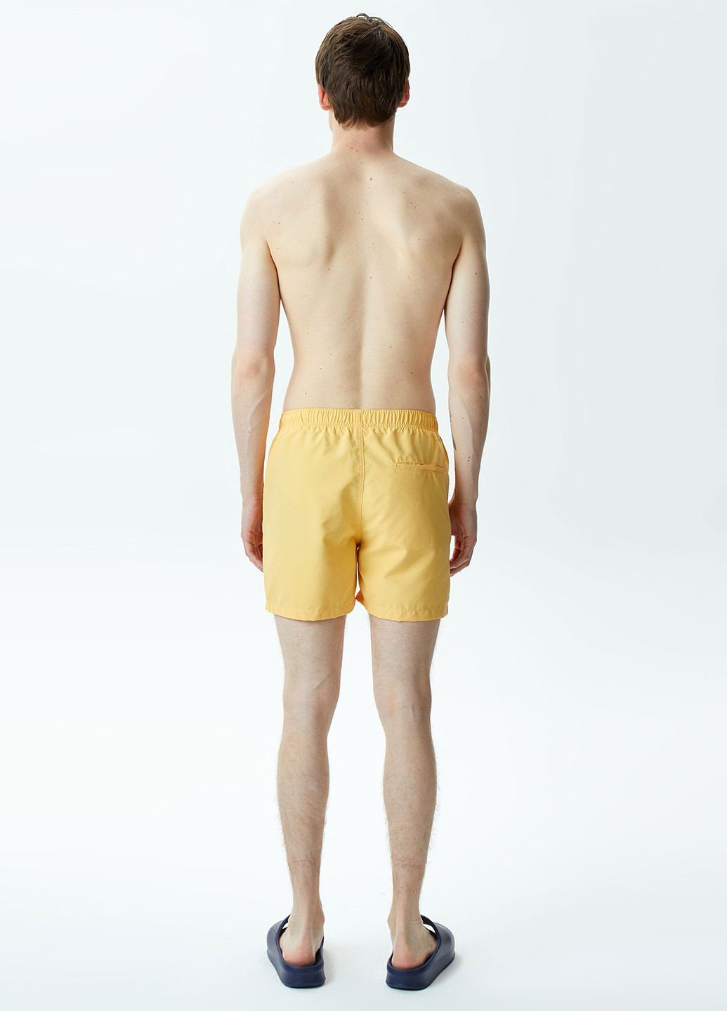 Шорты Lacoste (298073097)