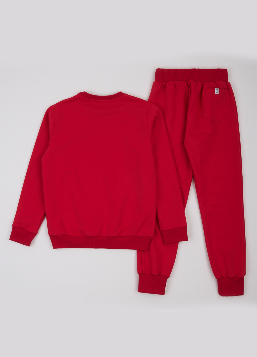 Костюм (світшот, штани) ArDoMi (316877968)