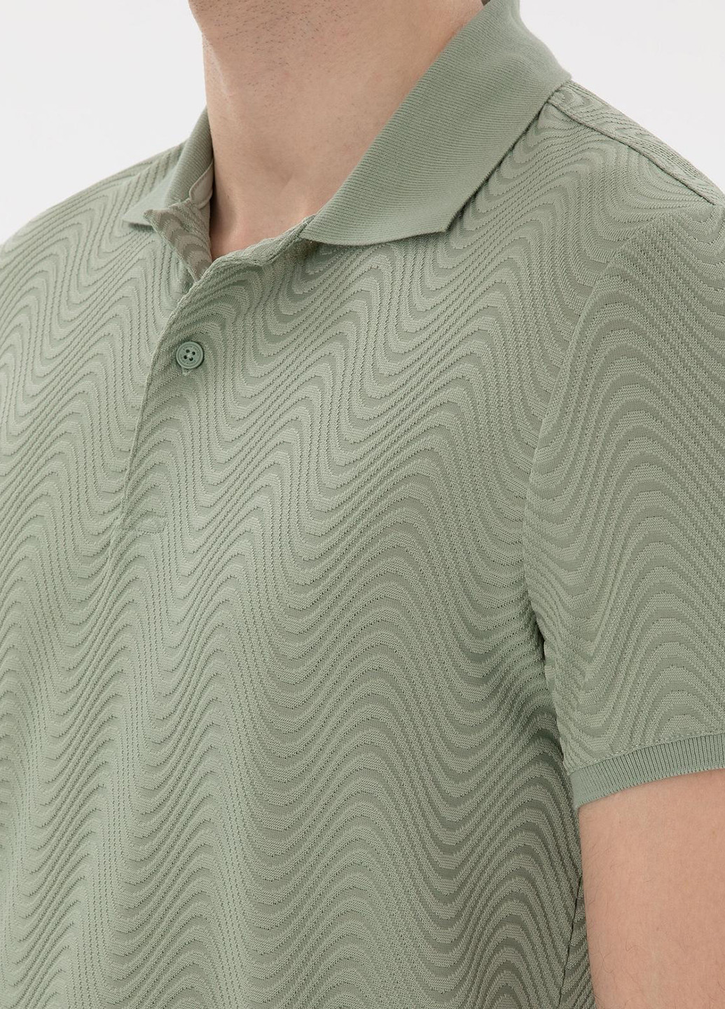 Поло Pierre Cardin (346474467)