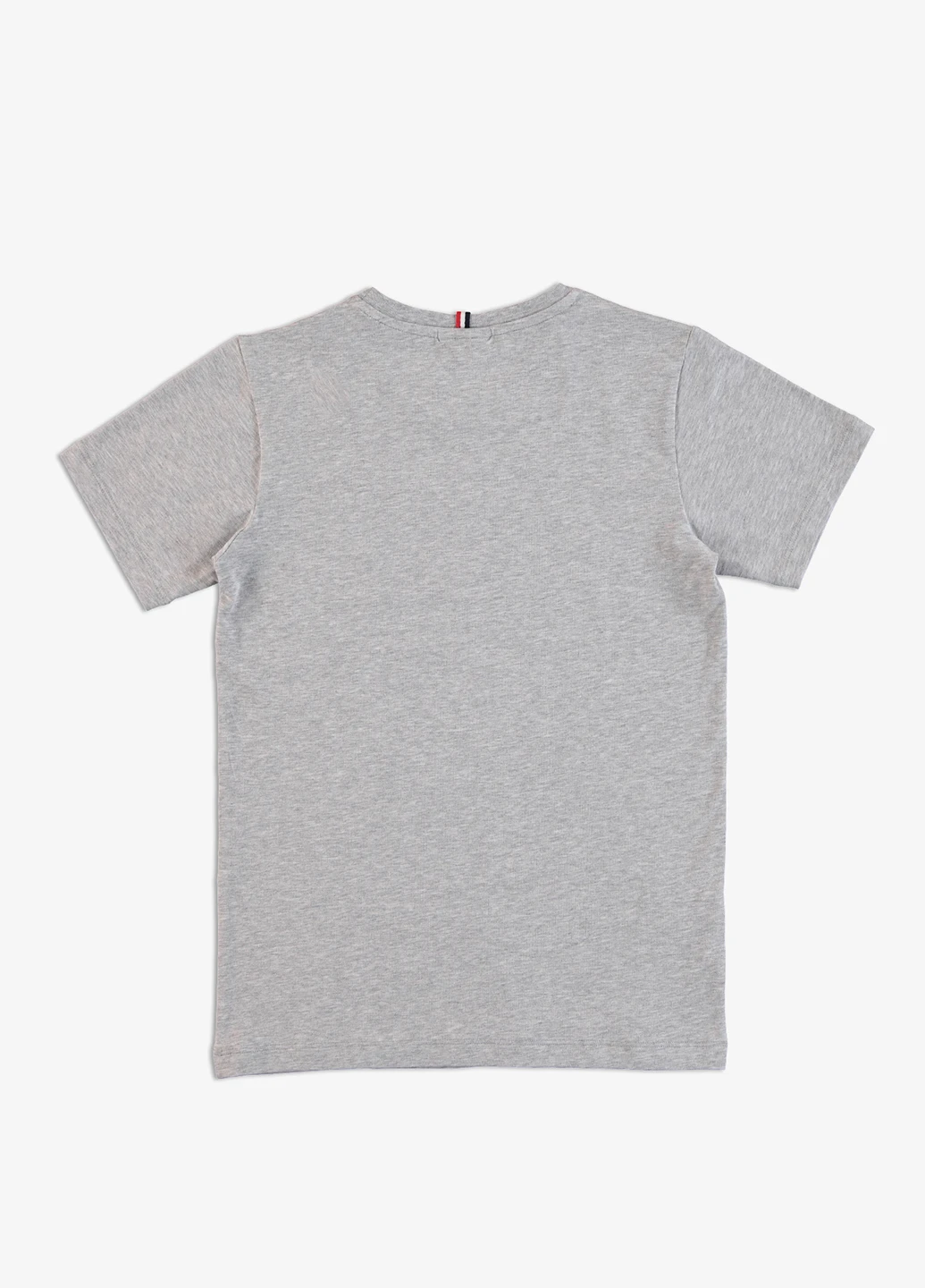 Серая летняя футболка Lacoste