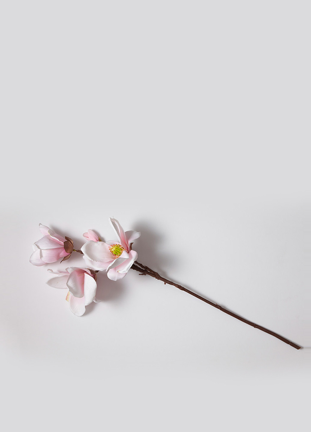 Цветы Aquarel Magnolia, 20 см English Home (207863564)