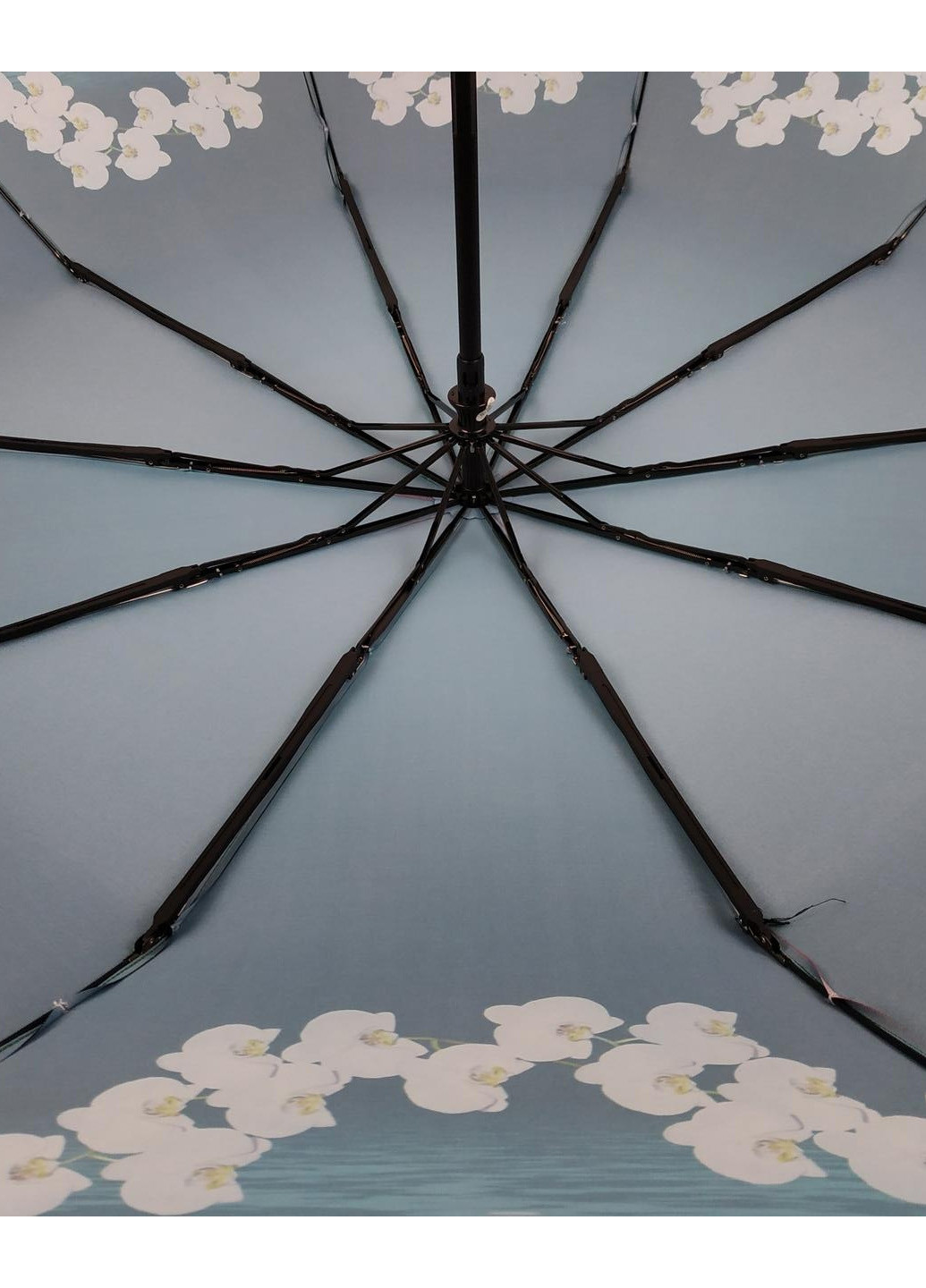 Жіночий автоматичний парасольку (734) 98 см Flagman (189979125)