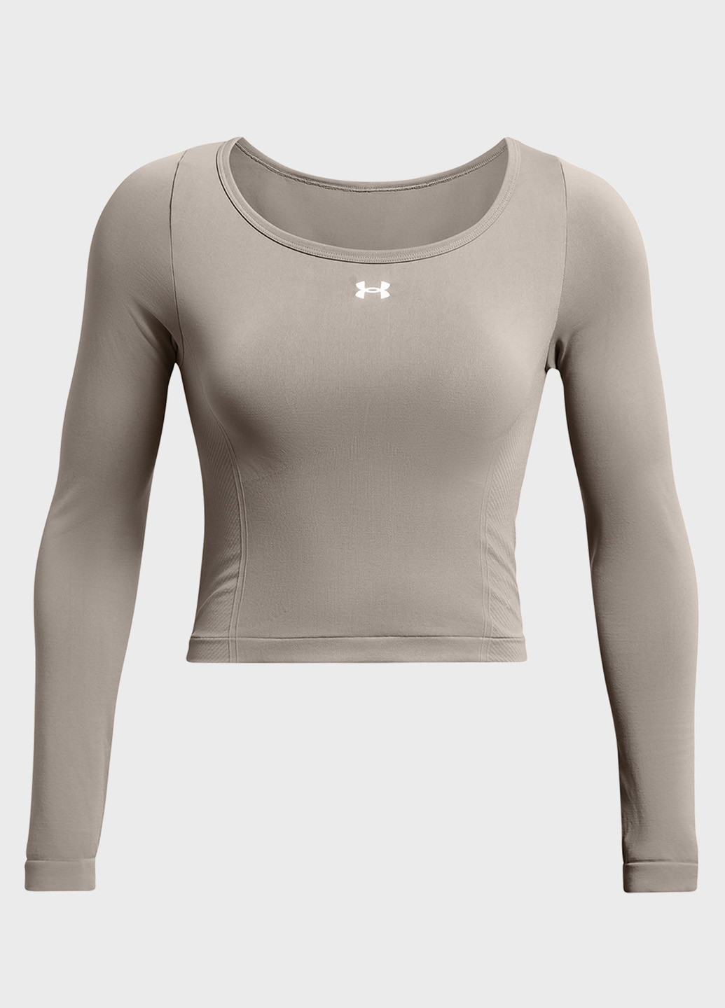 Лонгслив Under Armour (293376564)