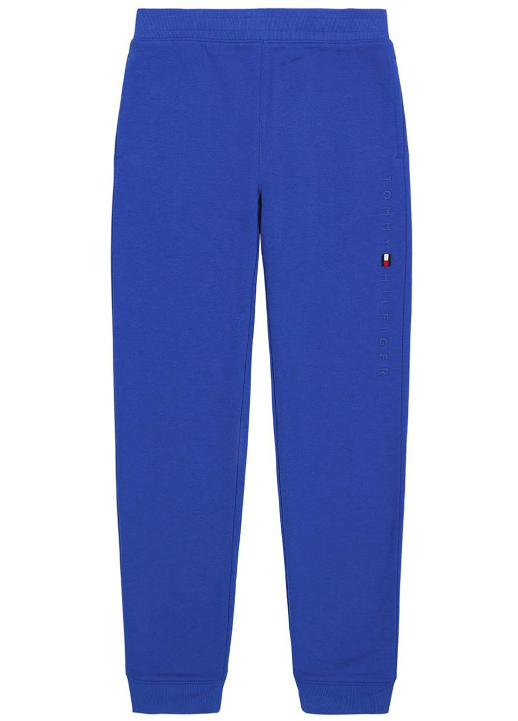 Синие спортивные демисезонные джоггеры брюки Tommy Hilfiger