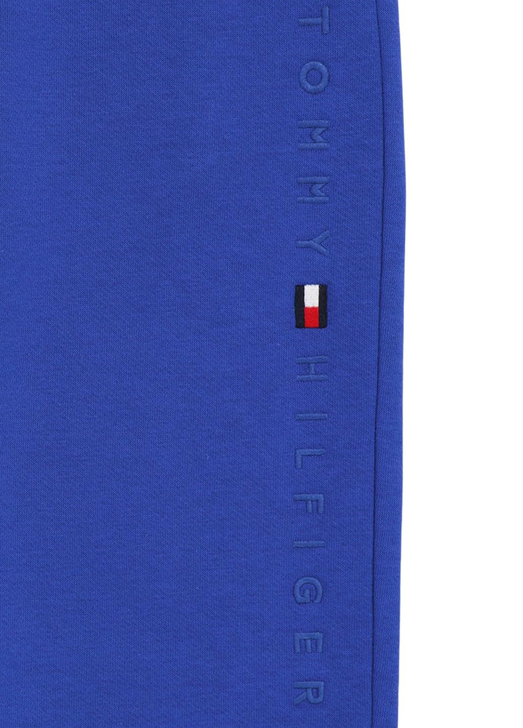 Синие спортивные демисезонные джоггеры брюки Tommy Hilfiger