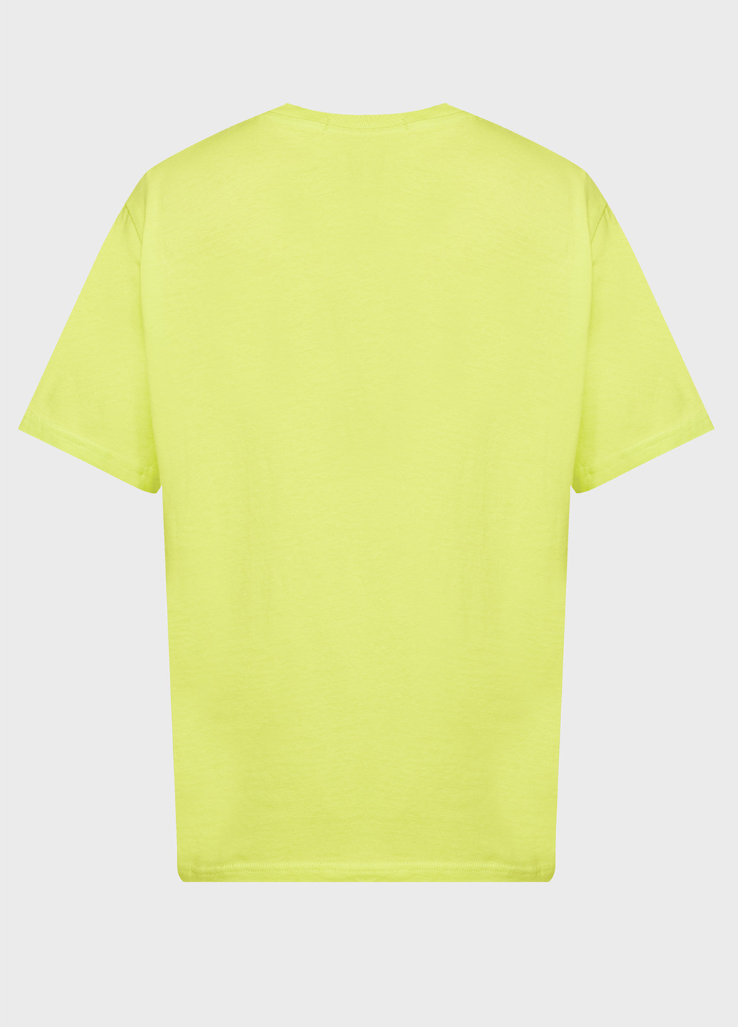 Салатова футболка Replay
