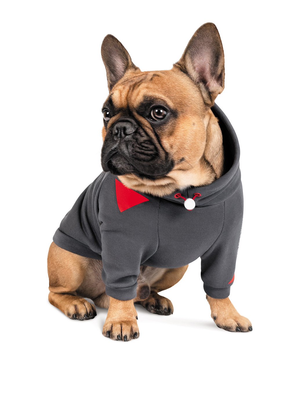 Худи Pet Fashion (252598892)