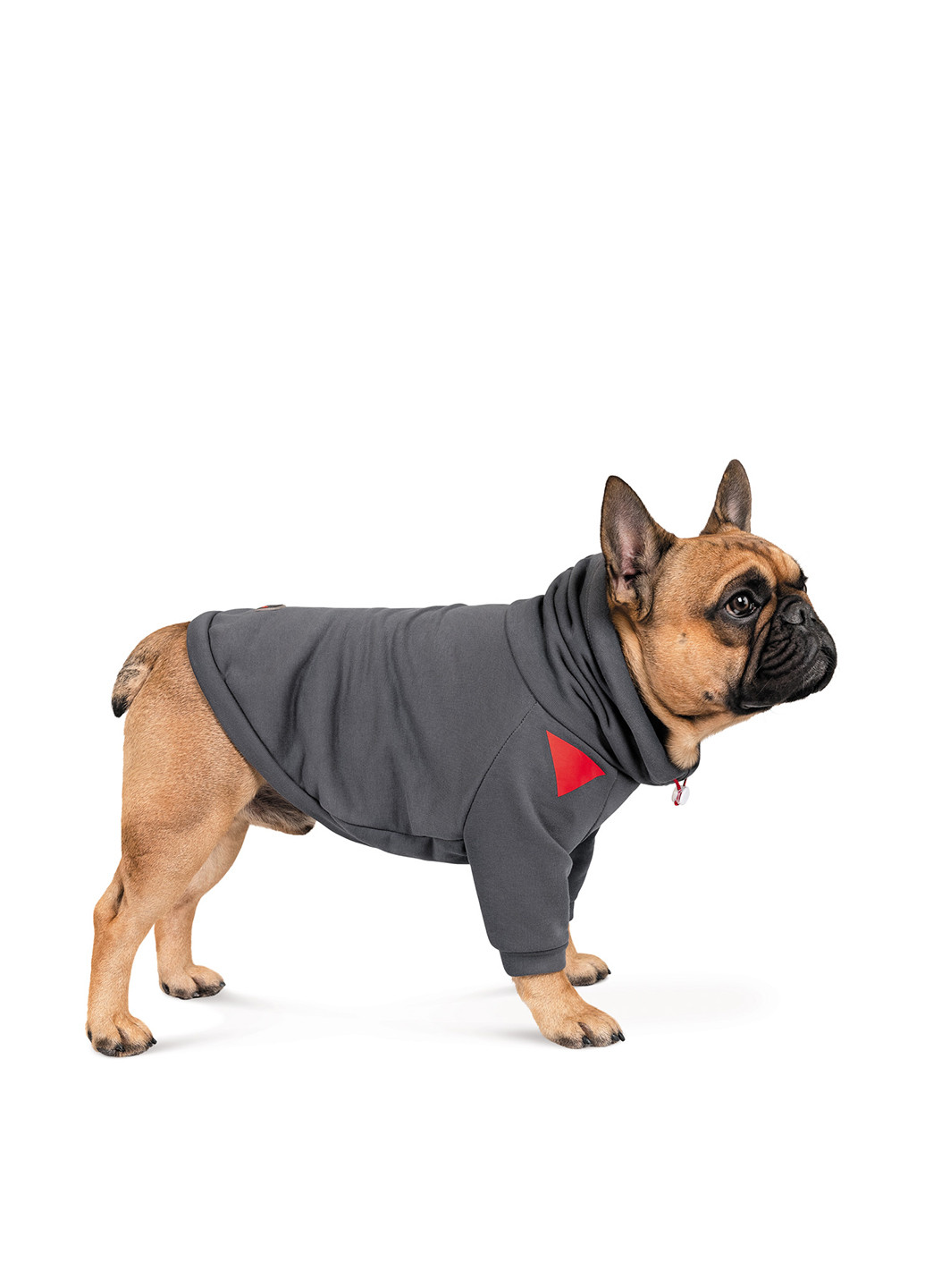 Худи Pet Fashion (252598892)