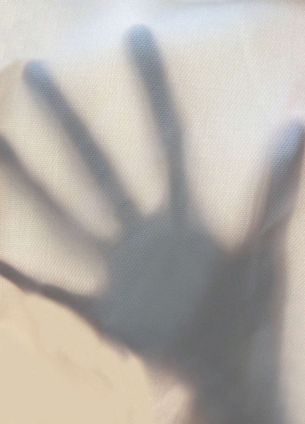 Шорти SHEIN (366498800)