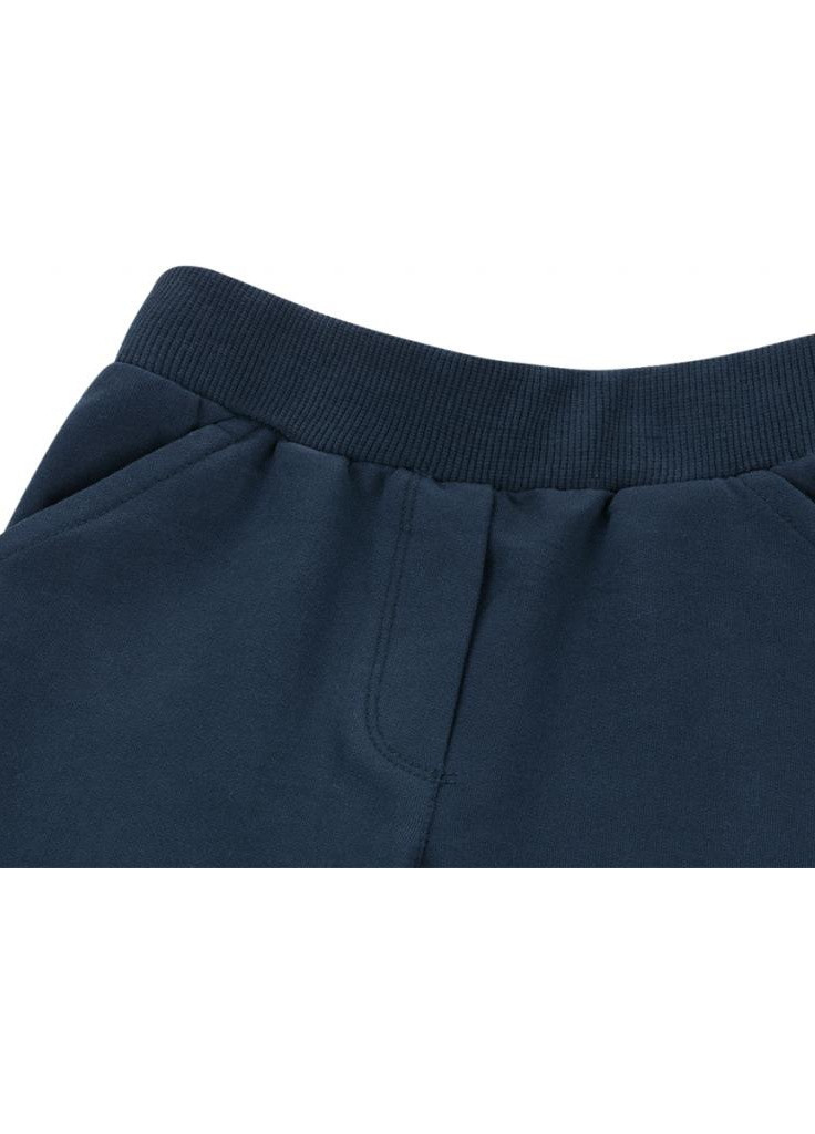 Синий демисезонный костюм десткий с объемной аппликацией (8401-110g-coral) Breeze