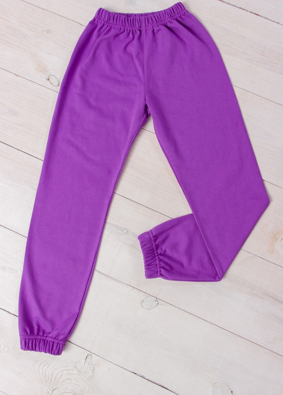 Фиолетовые повседневный демисезонные брюки Носи своє