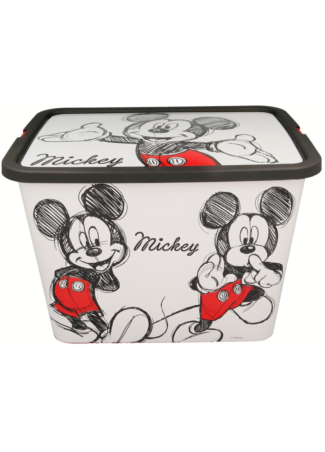 Коробка для игрушек Disney,23 л Stor (195911090)