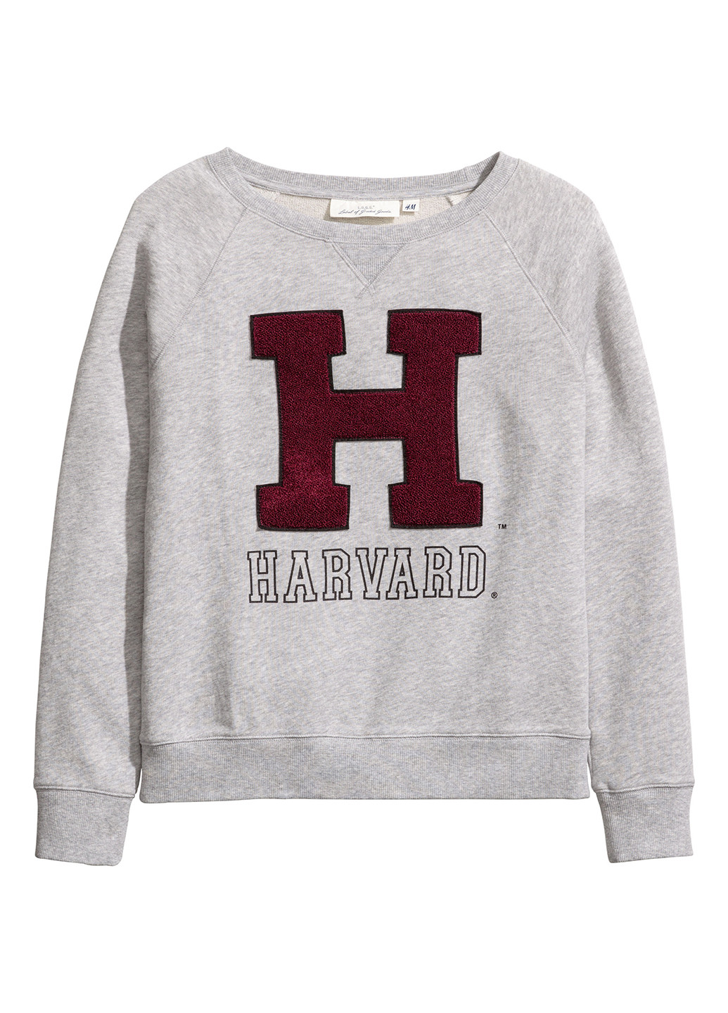 Свитшот H&M - Прямой крой надпись светло-серый кэжуал - (154907333)