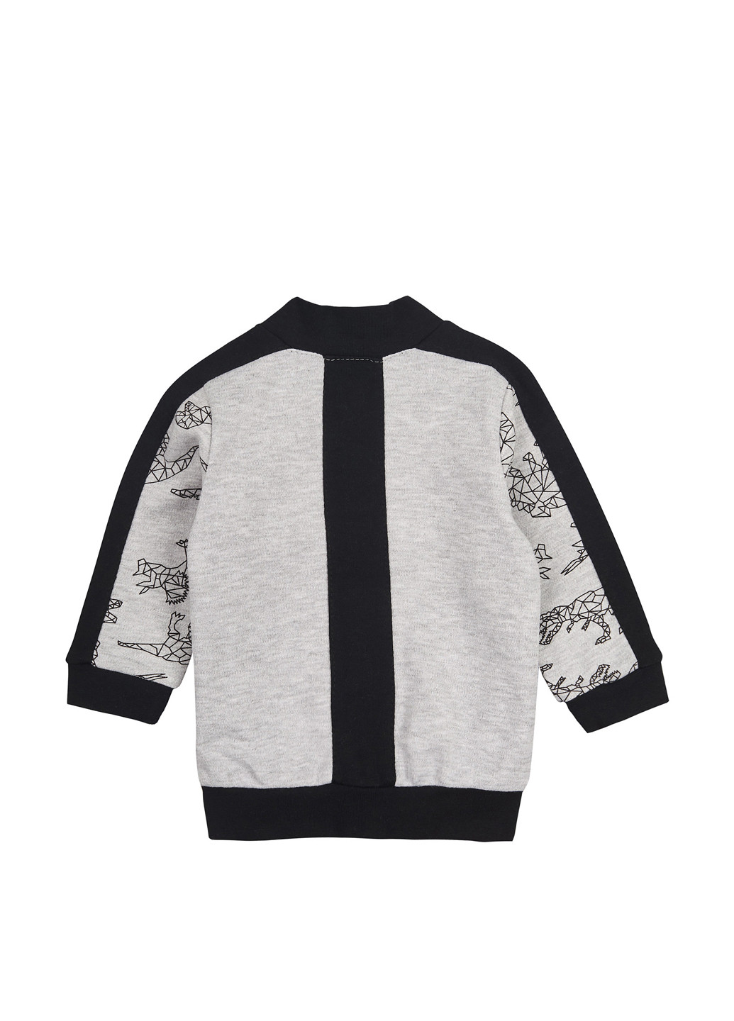 Серый демисезонный костюм (толстовка, брюки) брючный Ляля