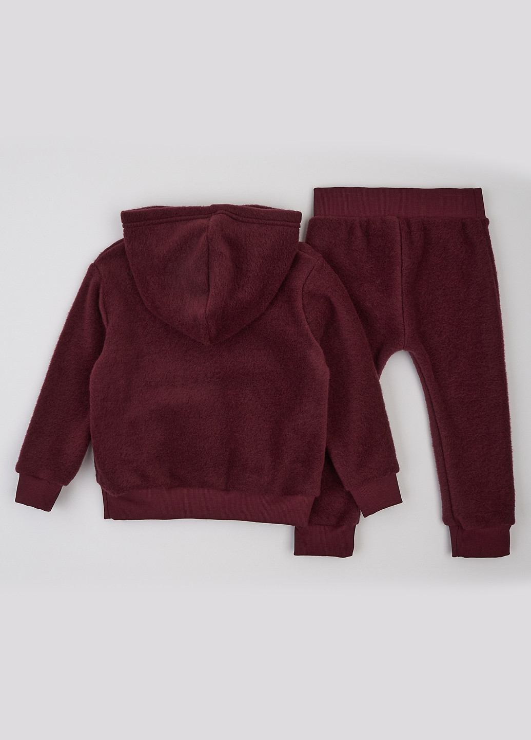 Бордовий демісезонний костюм (худи, штани) брючний ArDoMi