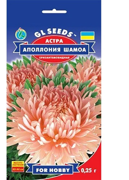 Семена Астра Аполония Шамоа 0,25 г GL Seeds (252372325)