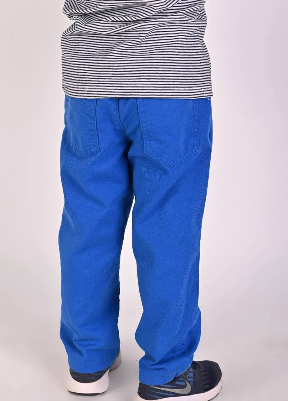 Синие демисезонные штаны детские мальчик электрик Let's Shop