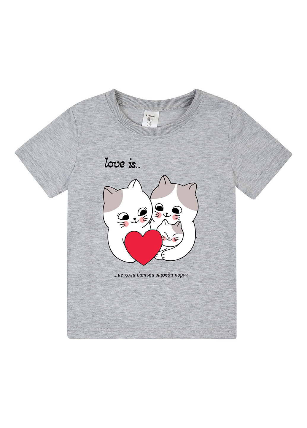 Сіра демісезонна футболка Garnamama