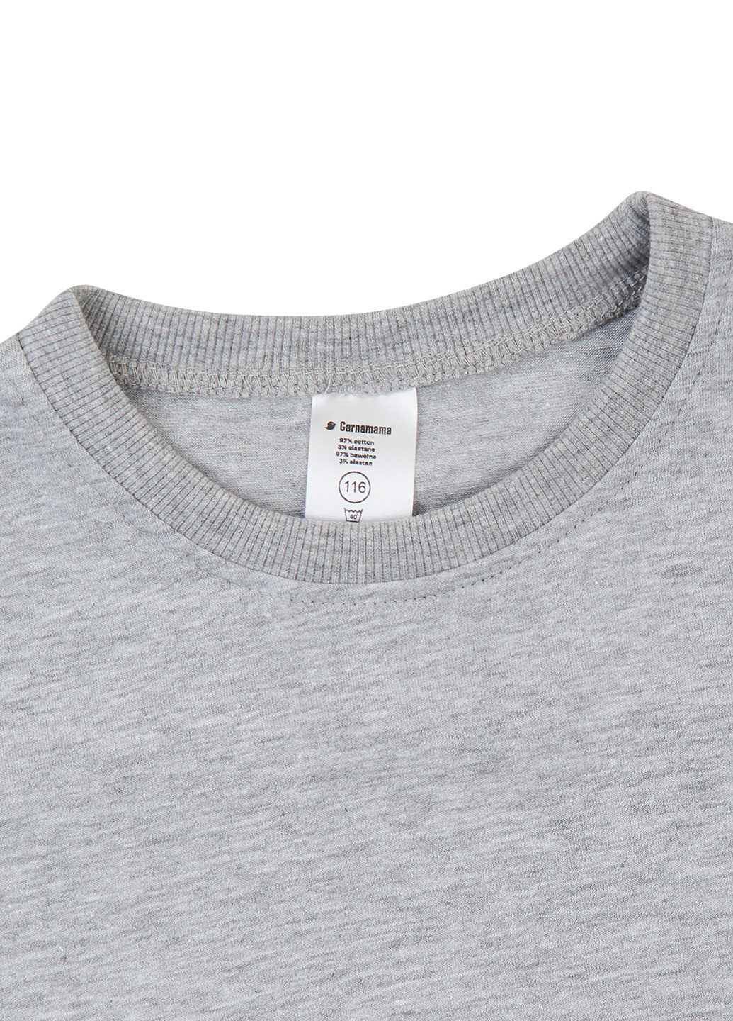 Сіра демісезонна футболка Garnamama