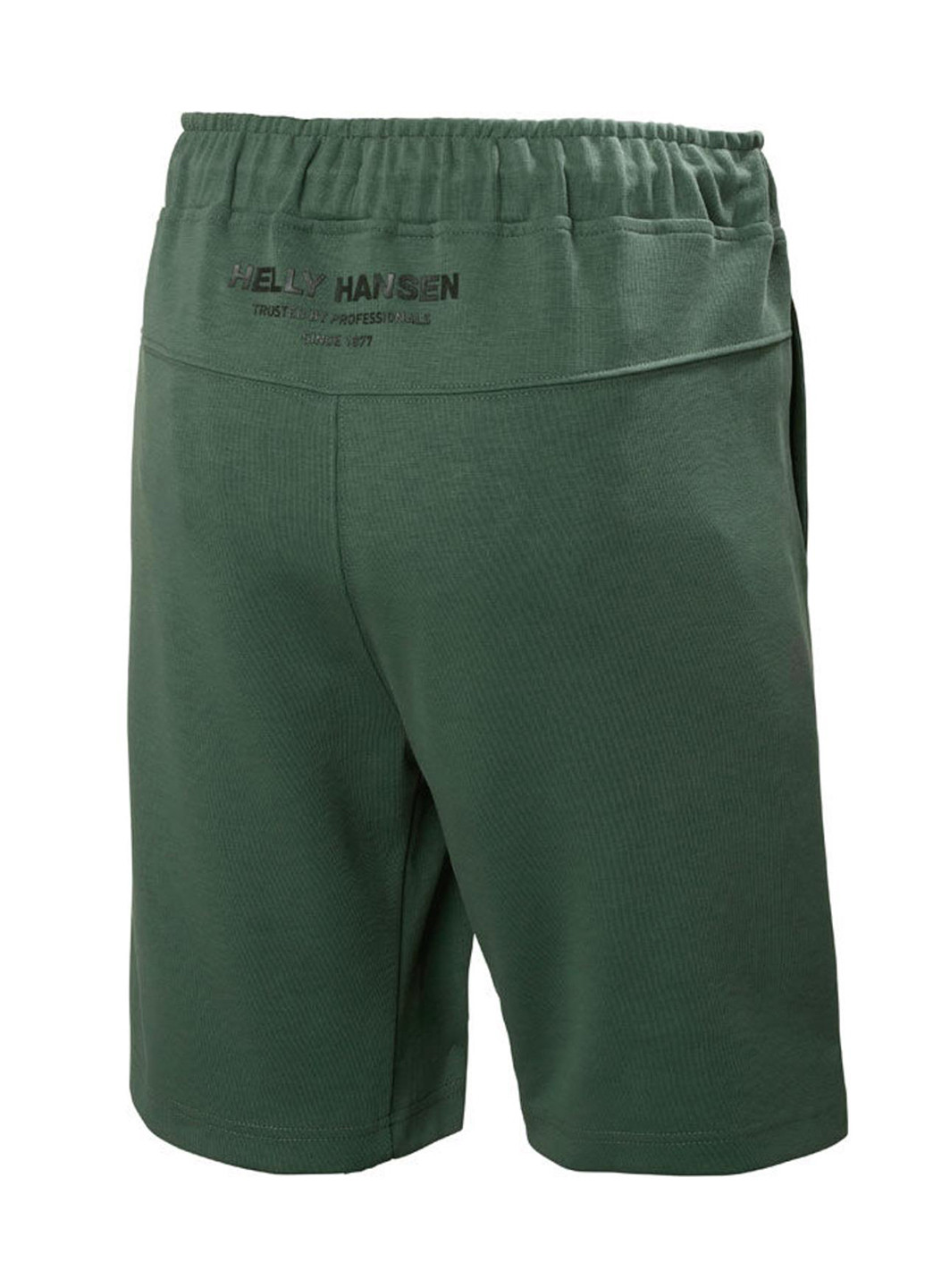 Шорты 53710-476 Helly Hansen Move Sweat Shorts (321505982)
