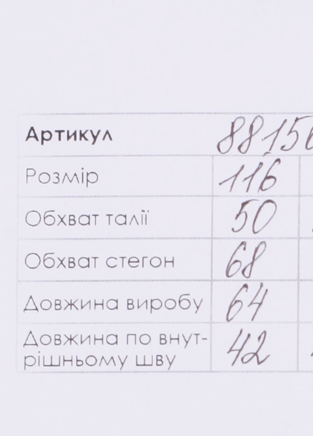 Синие спортивные демисезонные брюки Grace