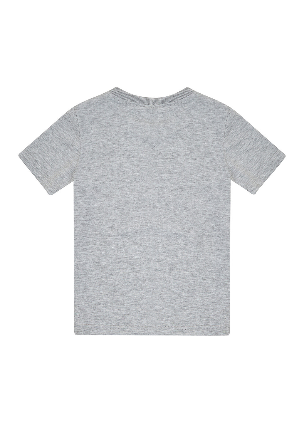 Світло-сіра літня футболка Garnamama