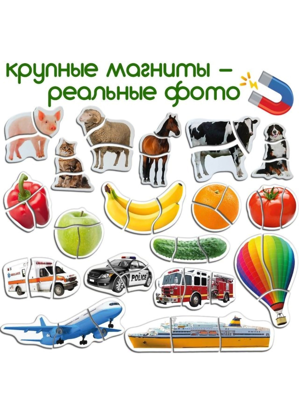 Детский набор магнитных пазлов 33,5х24х5 см MAGDUM (254051975)