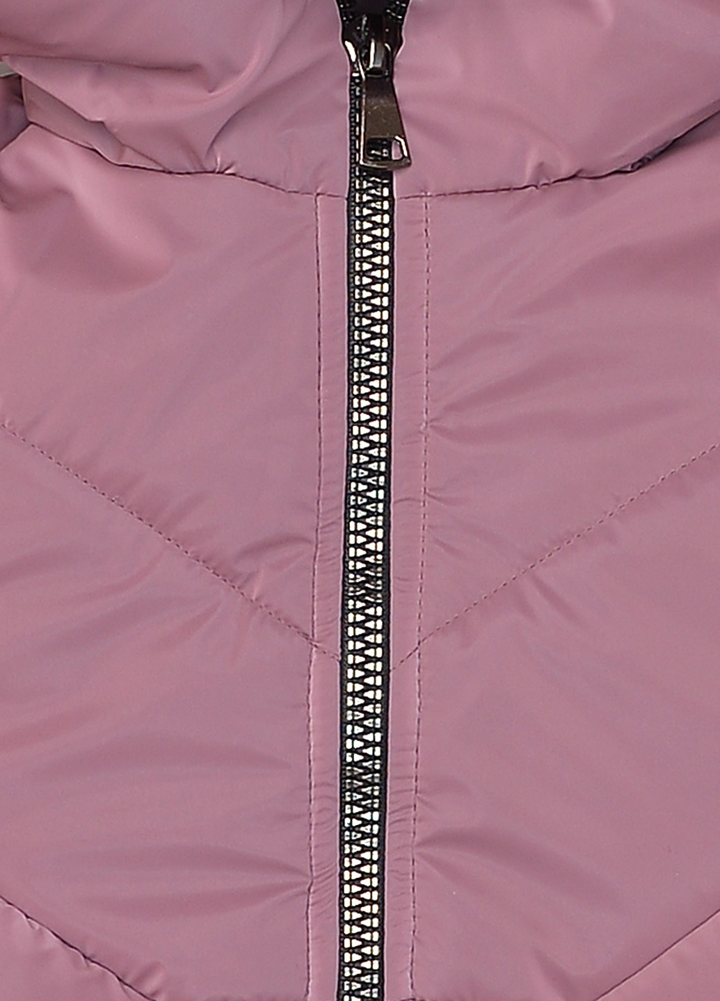 Сливовая демисезонная куртка Vestes