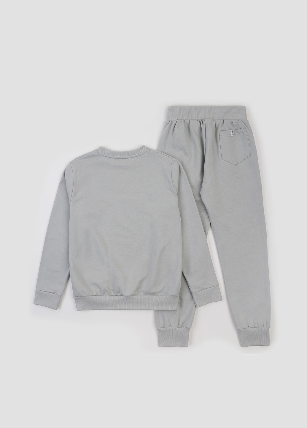 Костюм (світшот, штани) ArDoMi (363451999)